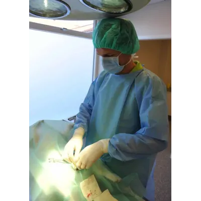 Baytarlıq bezləri, gigiyenik qulluq və təmizlik dəstəyi.