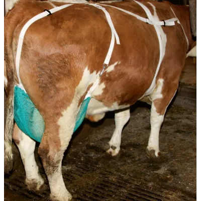 Comfortable and Protective Mammary Bra for Cows, Medium Size