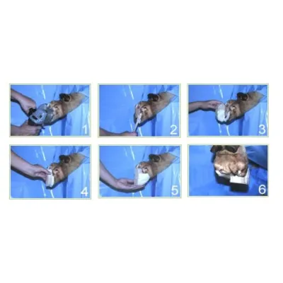 A set of easy-to-clean protective slippers that offer comfort and hygiene while working in the field at veterinary clinics.