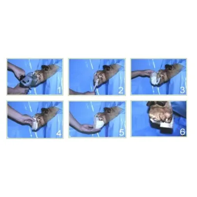 A set of easy-to-clean protective slippers that offer comfort and hygiene while working in the field at veterinary clinics.