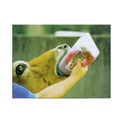 Professional medicine feeding bottle specifically designed for feeding baby animals.