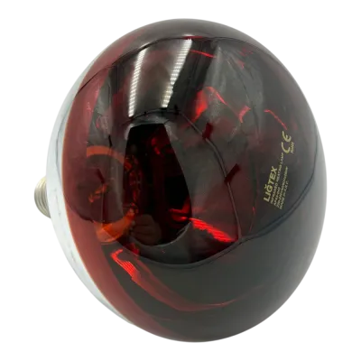 Farm Heating Bulb 250W