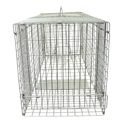 büyük kedi köpek kafes
