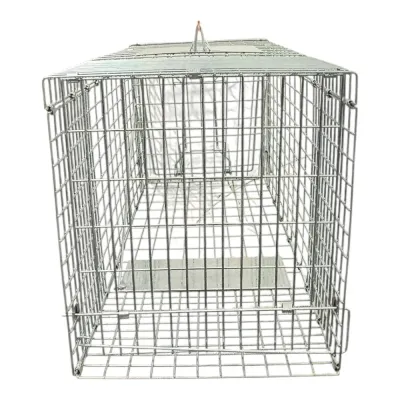  büyük kedi köpek kafes