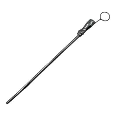 Cow teat protector plug