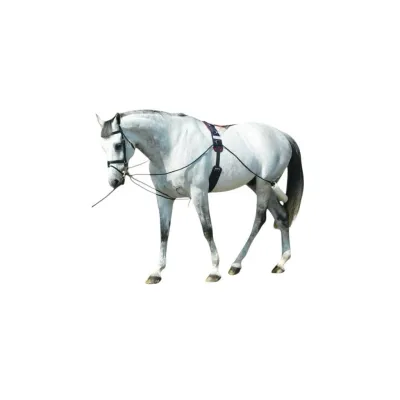 Eyer Kolonları – modernciftlik.com