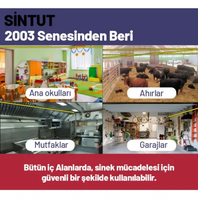 sintut karasinek ipi