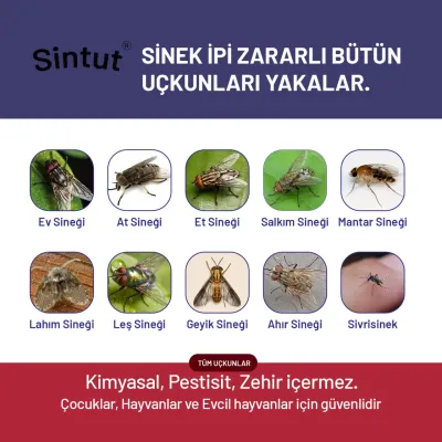 karasinek ipi