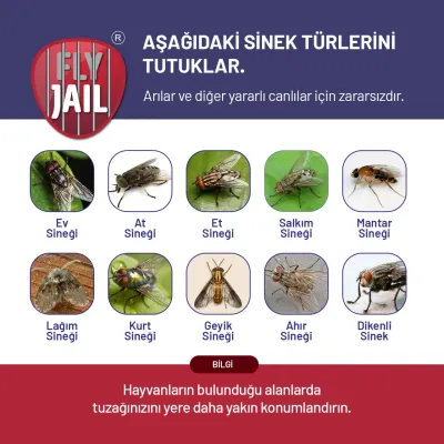 sinek mücadelesi