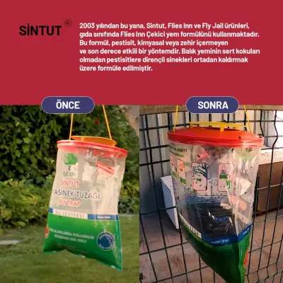 Böyük Milçək Tələsi – 