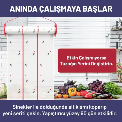 sinek bandı