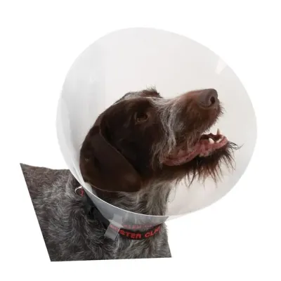 Buster Elizabeth Köpek Yakalığı. Transparan. 7,5 cm