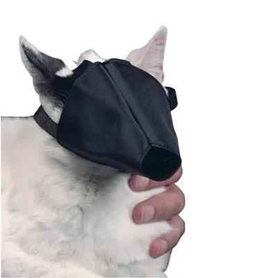 Buster Kedi Ağızlığı