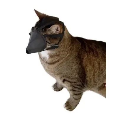 Buster Kedi Ağızlığı
