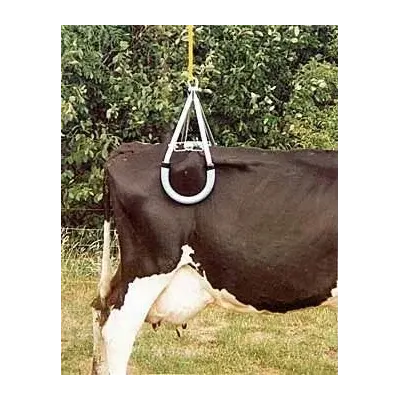 Farm & Veterinary: Kerbl Cattle Lift 900 kg ( Cattle Lifter )
