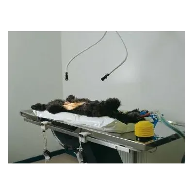 Buster Vet. Vakumlu Operasyon Yatağı. İkili Set