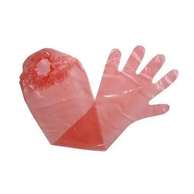 Farm & Veterinary: Sayberk Artificial Insemination Glove. Lastikli (100 Pcs)