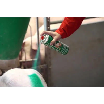 Sprey Boya İşarələmə 500 ml Yaşıl – Kerbl