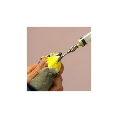Quşlar üçün Luer Lock 17G 14x40 mm düz tibbi yemləmə iynəsi.