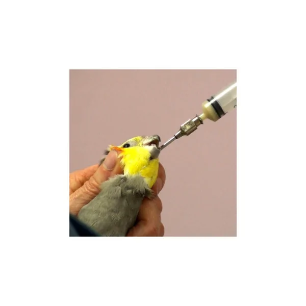 Feeding cannula for birds Luer lock 17g 14x40mm Straight