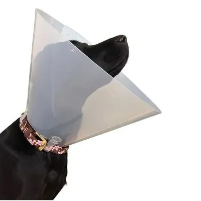 Curavet Elizabeth Köpek Yakalığı. Transparan. 10 cm