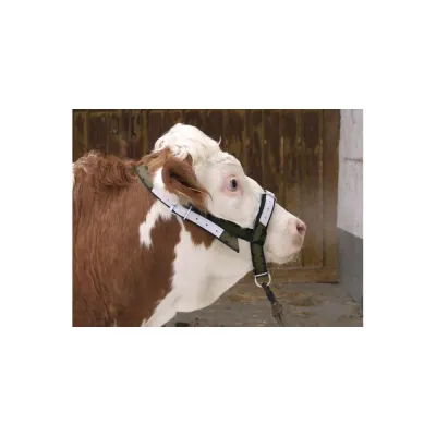 Durable bull halters and control collars that enhance safety in the handling and management of cattle.
