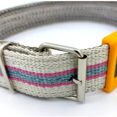 Küçükbaş Boyun Numaratör Kayışı. Tokalı.  60 cm