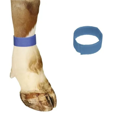 Farm & Veterinary: Leg Marking Band. Cirtli. 36 cm. Blue (10 Pcs )