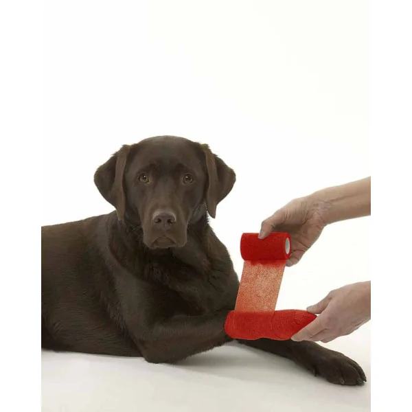Selbstklebende Binde 10 cm x 45 m - Rot