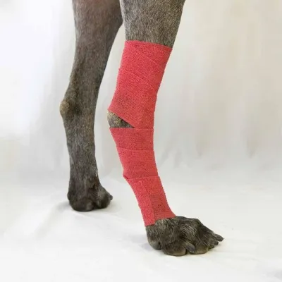 Öz-özünə yapışan sarğı 10 sm x 4.5 M - Qırmızı – Farmena