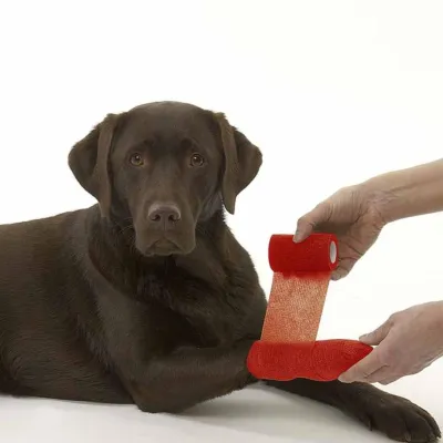 Öz-özünə yapışan sarğı 10 sm x 4.5 M - Qırmızı – Farmena