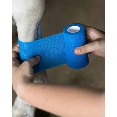 Farmena - Kaliteli Yapışkanlı Bandaj 10 cm X 4.5 M - Mavi