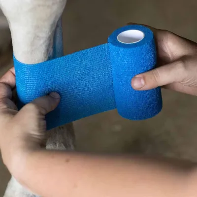  Klinik tipi yapışkanlı bandaj 10 cm x 4.5 M mavi esnek koruyucu bandaj