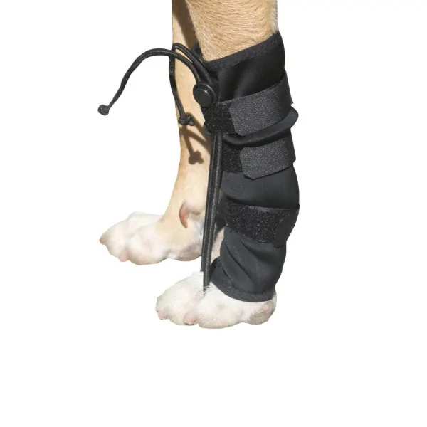 Dog Front Paw Straightener - Large