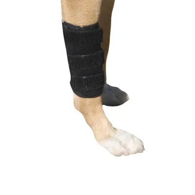 Ortopedi Ürünleri – modernciftlik.com