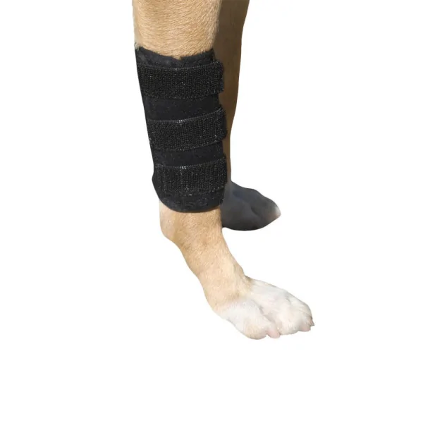 Boned Support Foreleg Short Ankle Brace - Large