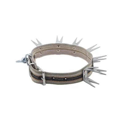 Woven Kangal Collar with Two Studs