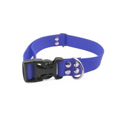 Blue Adjustable Dog Collar
