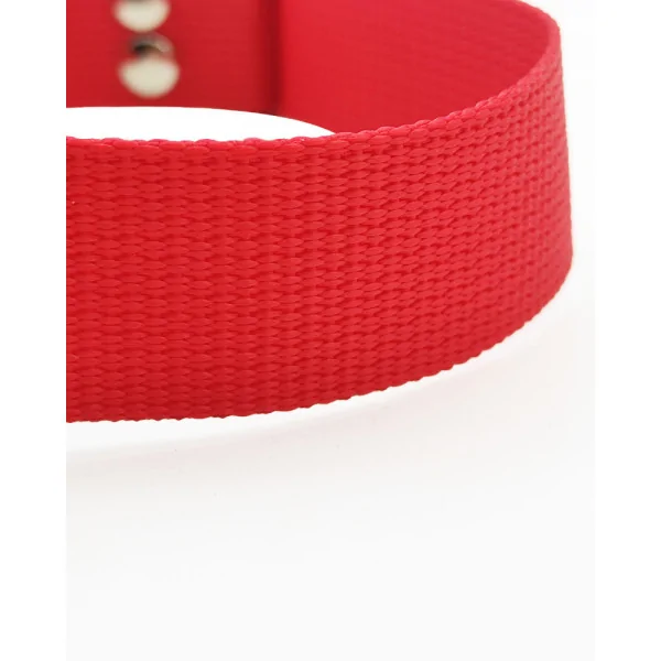 Tənzimlənən it yaxası bənövşəyi