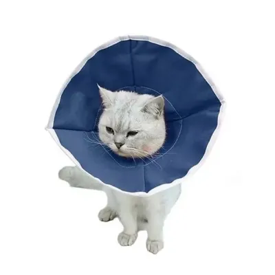 Farm & Veterinary: Buster Cat Yakaligi Soft (10'lu Paket )