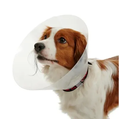 Farm & Veterinary: Buster Elizabeth Dog Yakaligi Transparan 15 cm (10'lu Paket)