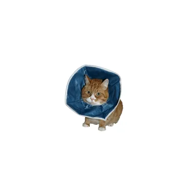 Cat collar, 18 cm, protective collar for small breed cats.
