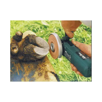 Sığır Botu – Demotec