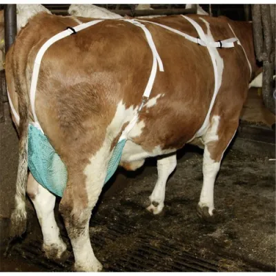 Meme Bakım Malzemeleri – modernciftlik.com