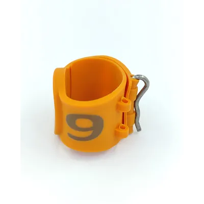 Rəngli Qoyun Ayağı Bantı