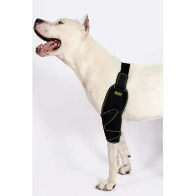Farm & Veterinary: Dog Elbow Splint. Front Leg. Left