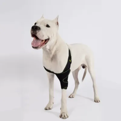 Farm & Veterinary: Dog Elbow Splint. Front Leg. Right