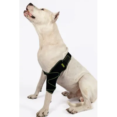 Farm & Veterinary: Dog Elbow Splint. Front Leg. Right