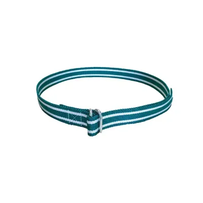 Farm & Veterinary: Cattle Neck Numbering Strap. Webbing Type. 160 cm. Green / White