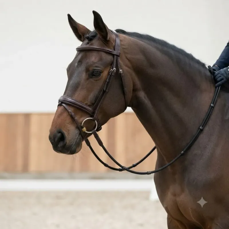 Leather Elastic Reins